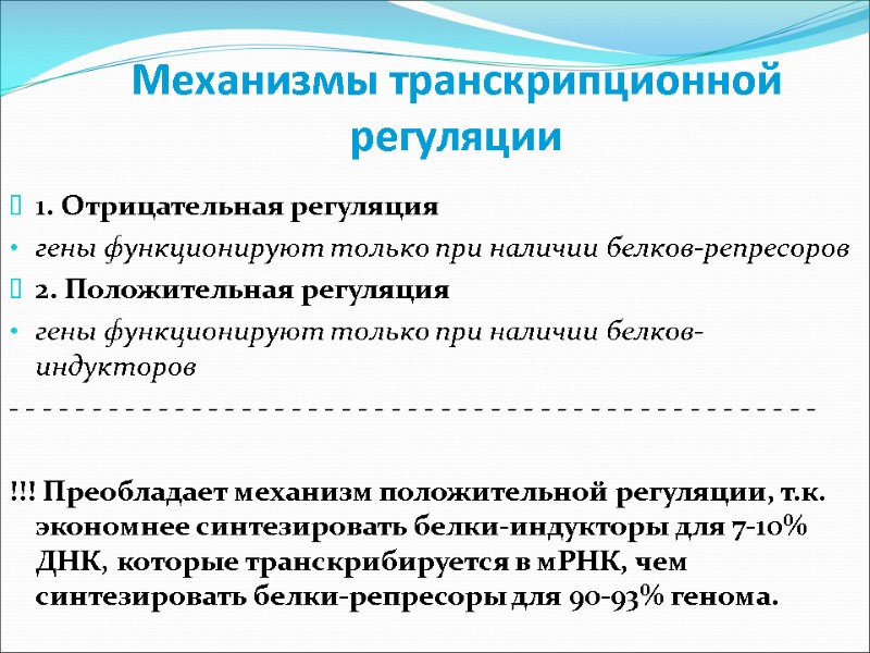 Механизмы транскрипционной регуляции 1. Отрицательная регуляция гены функционируют только при наличии белков-репресоров 2. Положительная